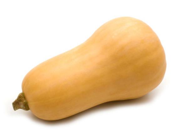 يقطين