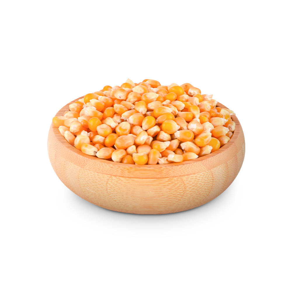 بوشار