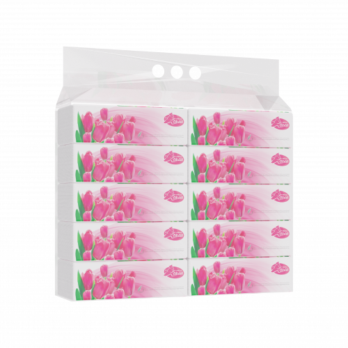 القطة محارم فوشي 70 منديل 1 * 10 + هدية