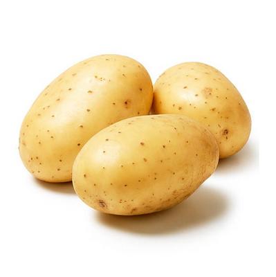 بطاطا بلدية