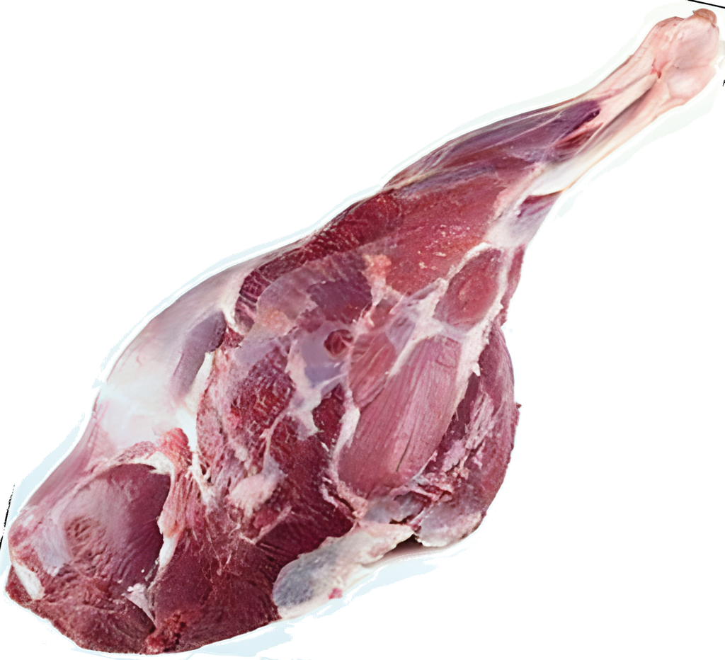 فخذ عجل افريقي طازج