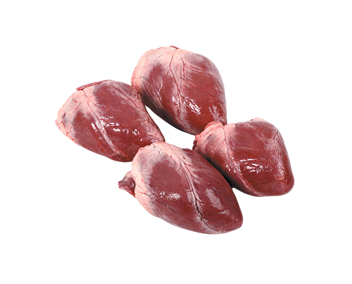 قلوب مجمدة