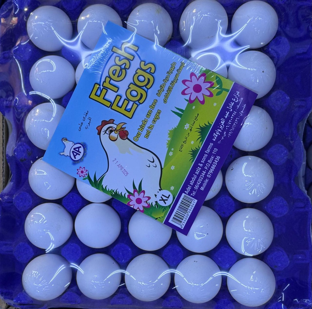 بيض فريش XL