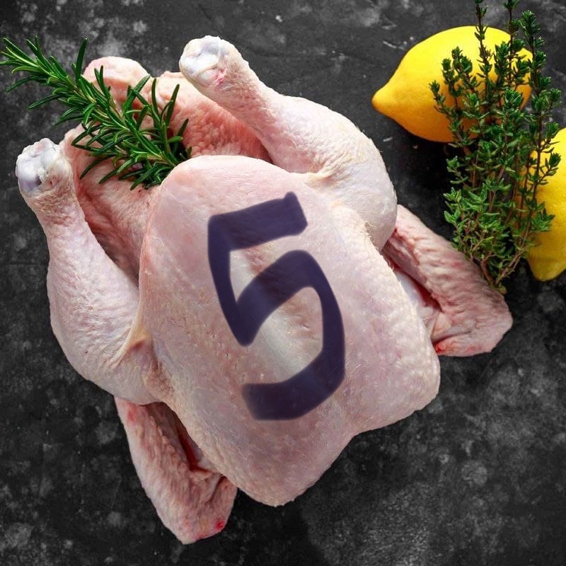 فروج طازج 5 حبات