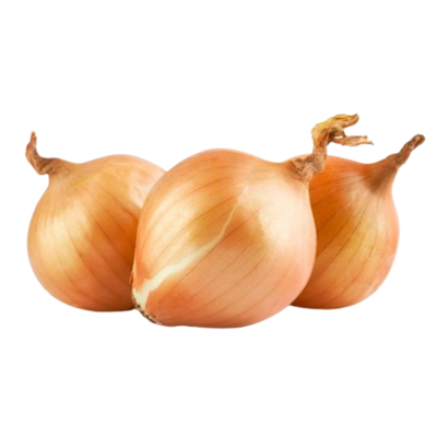 بصل بلدي