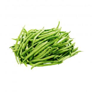 لوبيا