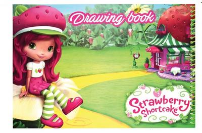 دفتر رسم سلك