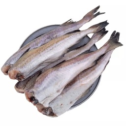 [00045] سمك عرموط زيرو بالكيلو