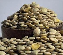 [00066] عدس حب حب كبير