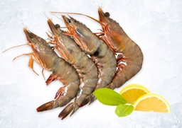 [bbb] روبيان جامبو حبة كاملة بالكيلو