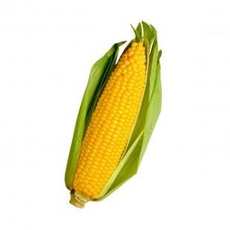 [00008] ذرة عرنوس